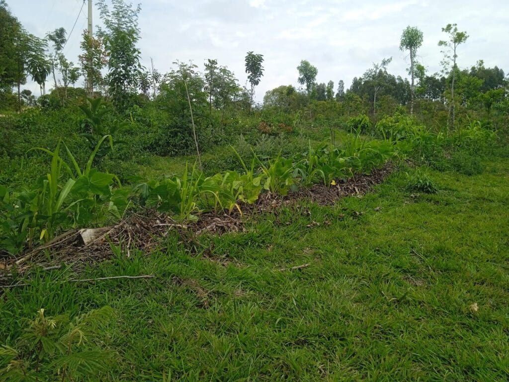 WhatsApp Image 2024-11-19 at 11.14.40 (2)